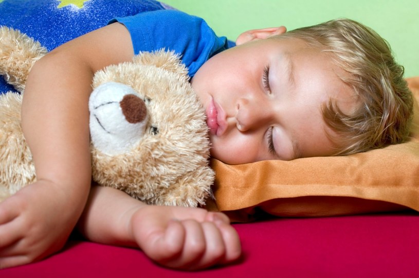 Przytulanka może pomóc maluchowi zasnąć /123RF/PICSEL