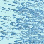 bezpłodność Przywrócili naturalną spermatogenezę . Przełom leczenia niepłodności