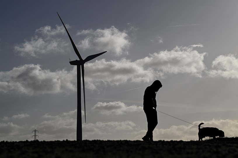 PSE wielokrotnie nakazywało ograniczenie produkcji energii przez farmy wiatrowe /OLI SCARFF/AFP /AFP