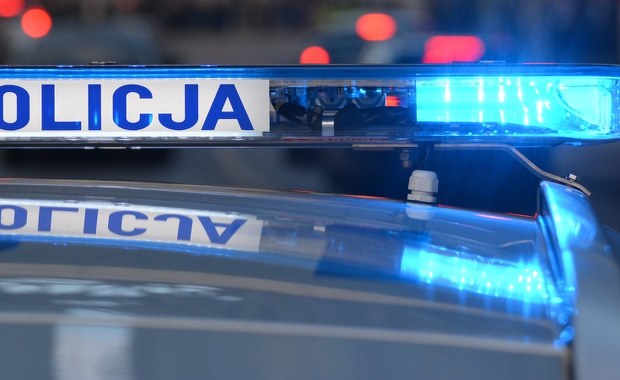 Pseudokibice spotkali się na A1. Ustawkę udaremniła policja