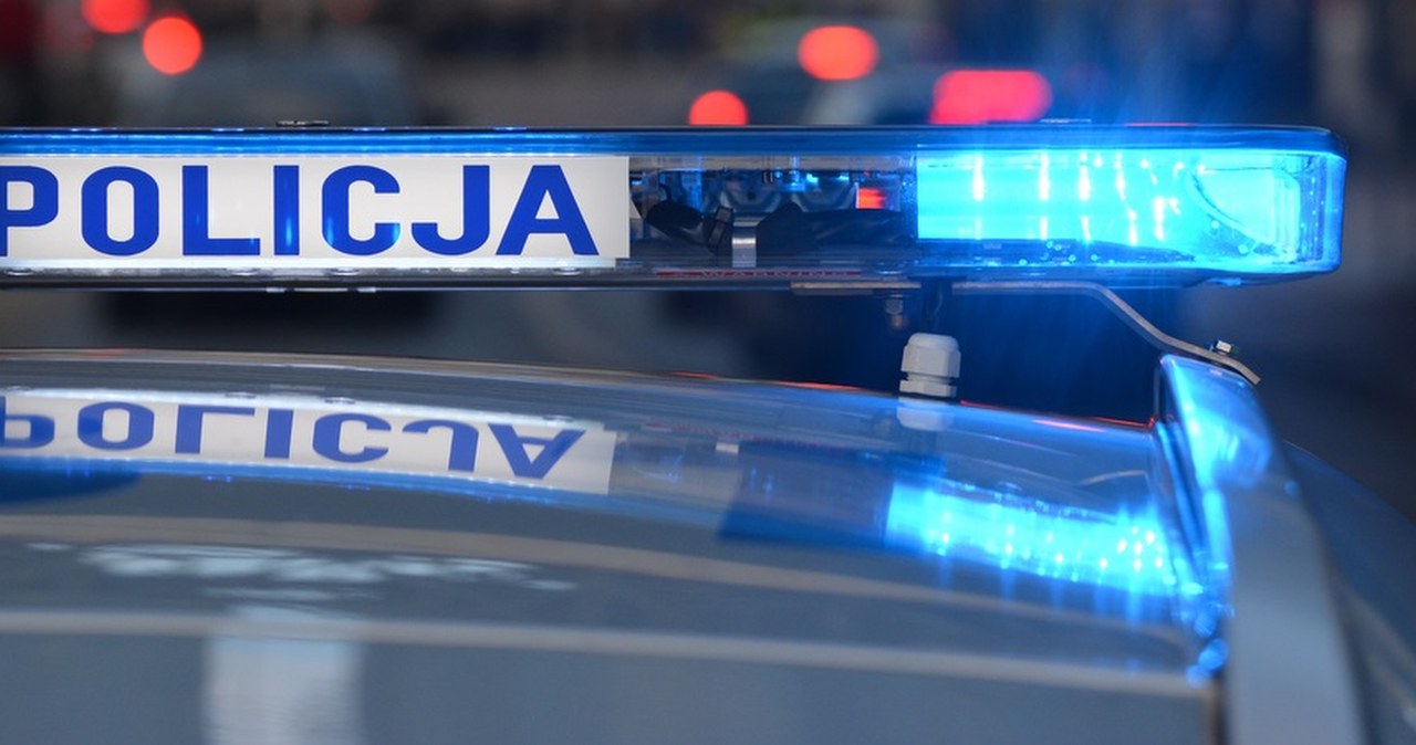 Pseudokibice spotkali się na A1. Ustawkę udaremniła policja