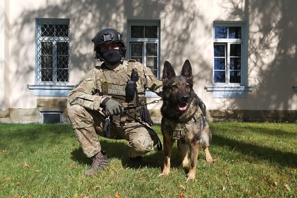 Psi bohater - Atena – pies służbowy KaOSG /Karpacki Oddział Straży Granicznej /Materiały prasowe