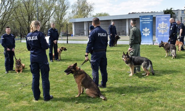 Psi emeryci zostali uroczyście pożegnani /Mazowiecka Policja /Policja