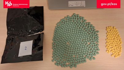 Psi funkcjonariusz wykrył oksykodon na lotnisku w Pyrzowicach