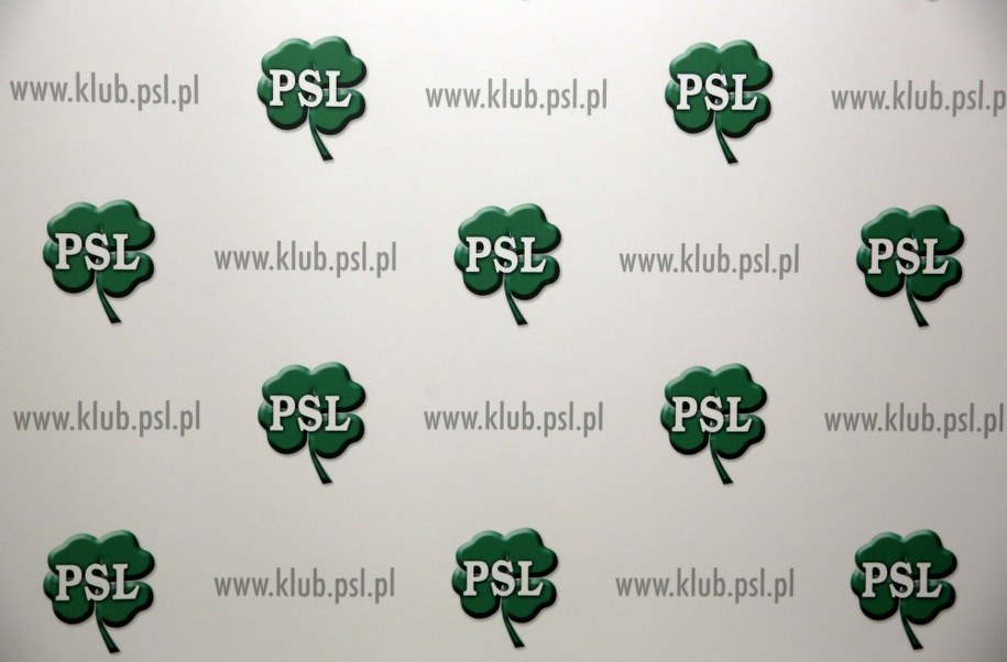 PSL nie podjął decyzji ws. wyborów prezydenckich /Tomasz Gzell /PAP