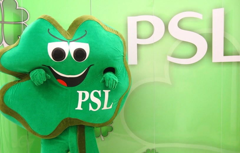 PSL; zdj. ilustracyjne /Stanisław Kowalczuk /East News
