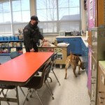 Psy będą wykrywać koronawirusa w szkołach