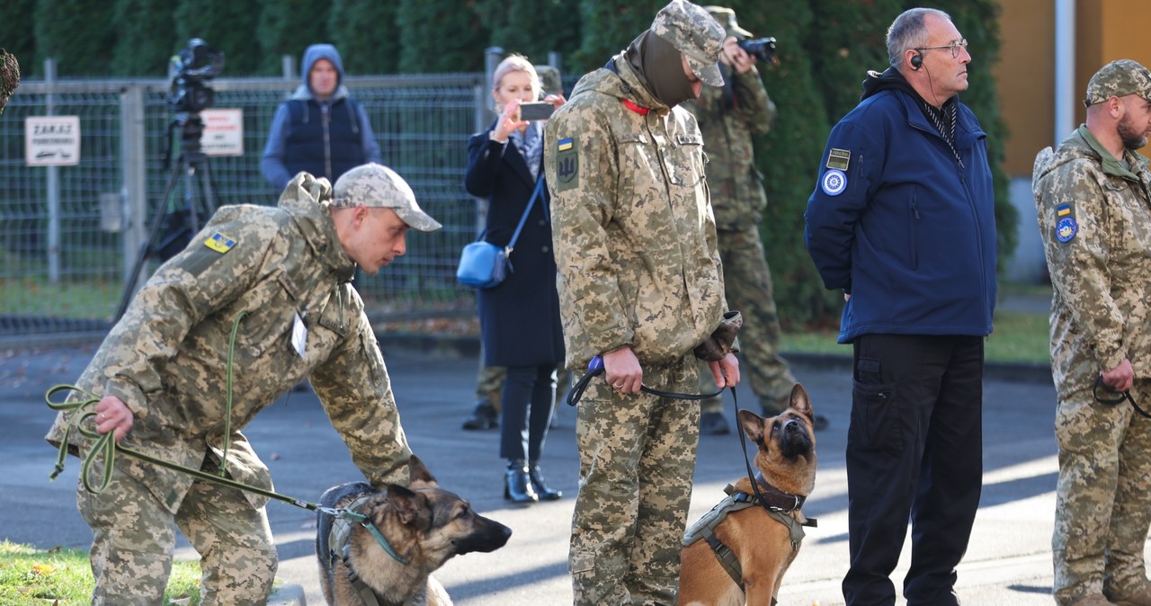 Psy dla ukraińskiej armii