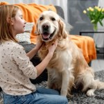 człowiek Psy i ludzie razem od epoki lodowcowej? Przełomowe badania