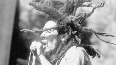 Psy kochają reggae. Bardziej niż… muzykę klasyczną 