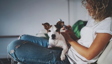 Psy pomagają ratować dzieci z rakiem kości. Przełom w terapii