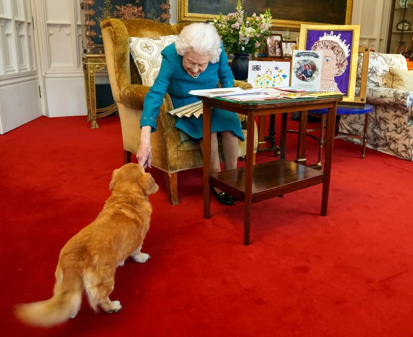 Psy towarzyszyły królowej również w pracy /Steve Parsons - WPA Pool/Getty Images /Getty Images