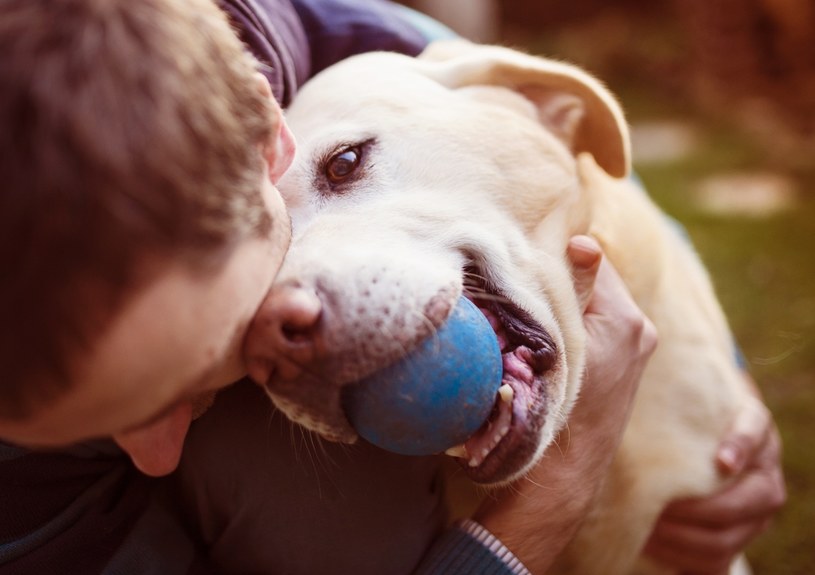 Psy uczą się od ludzi określonych zachowań i przejmują cechy charakteru opiekunów /123RF/PICSEL