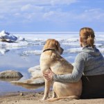 węch Psy wyczuwają strach opiekuna. Mają niebywałą zdolność