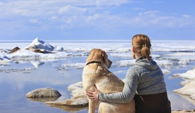 Psy wyczuwają strach opiekuna. Mają niebywałą zdolność