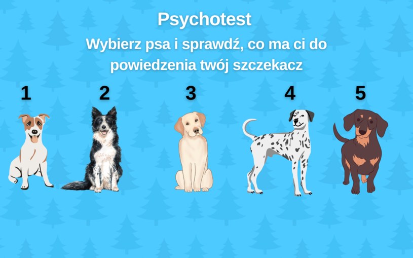 Psychotest: Co by powiedział twój pies, gdyby przemówił ludzkim głosem?