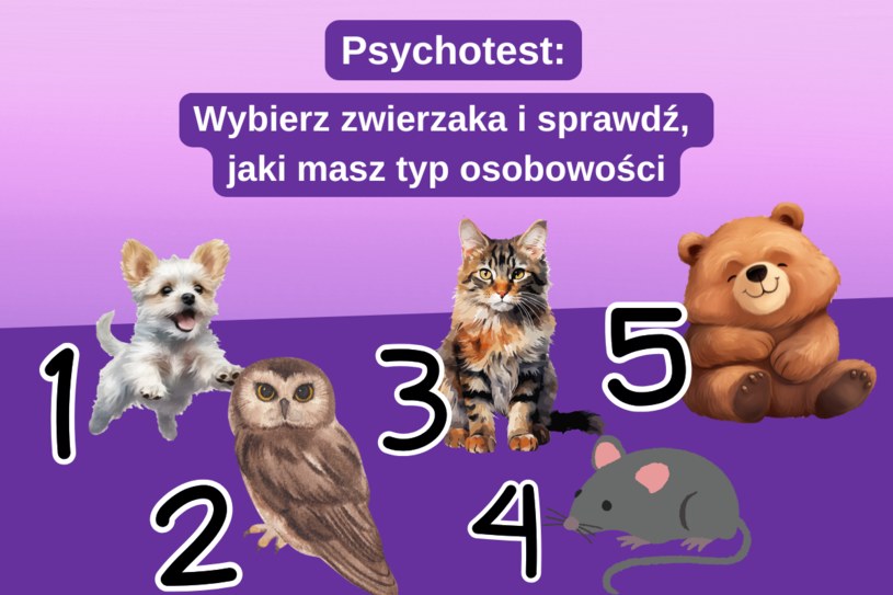 Psychotest: Jaki masz typ osobowości? Wybierz zwierzę i poznaj prawdę 