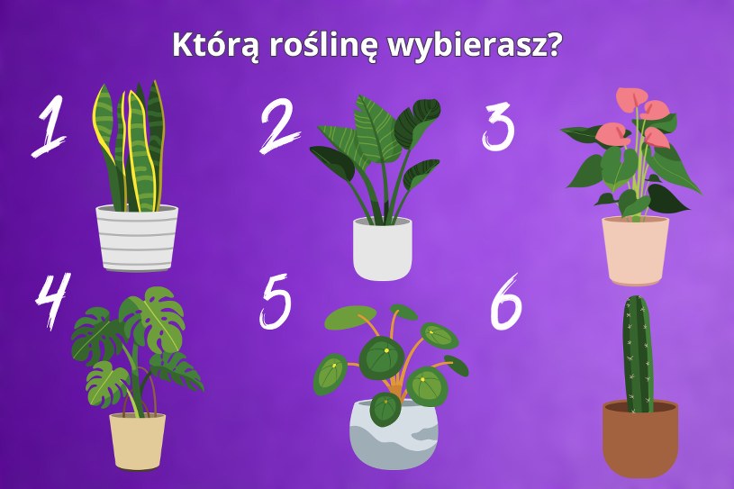 Psychotest: Wybierz roślinę i dowiedz się, jaka jest twoja największa zaleta