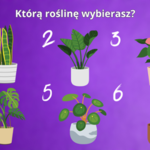 Psychotest: Wybierz roślinę i dowiedz się, jaka jest twoja największa zaleta