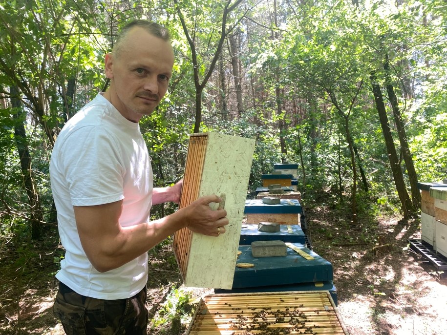 Pszczelarz Wojciech Marchlik /Magdalena Grajnert /RMF FM