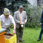 Pszczoły w Polsce: W 2014 roku było 1 mln 390 tysięcy rodzin pszczelich