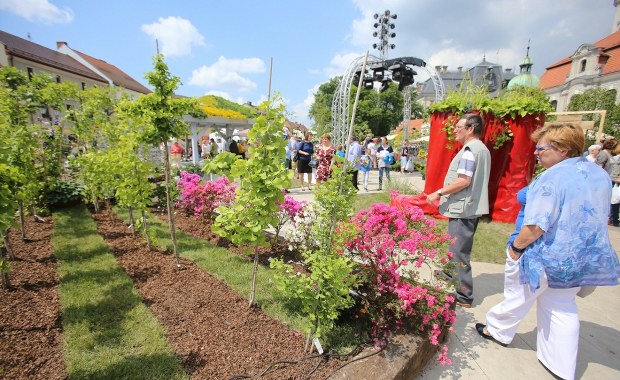 Pszczyna rozkwita światłem i muzyką. Ruszają Daisy Days 2026