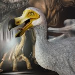 Ptak dodo wróci do żywych? Szalony projekt amerykańskich naukowców