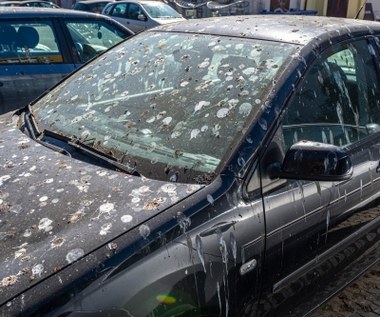 Ptak zapaskudził ci auto? Lepiej nie czekaj z myciem
