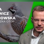 Ptaki nie znają granic. Konieczna była zmiana prawa w Polsce