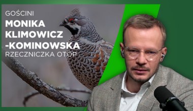 Ptaki nie znają granic. Konieczna była zmiana prawa w Polsce