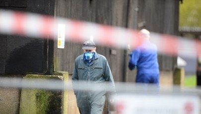 Ptasia grypa we Francji