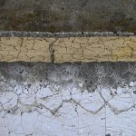 prehistoria Pterozaury odkryte na nowo. Wyjątkowa skamielina zdradza sekrety ich życia