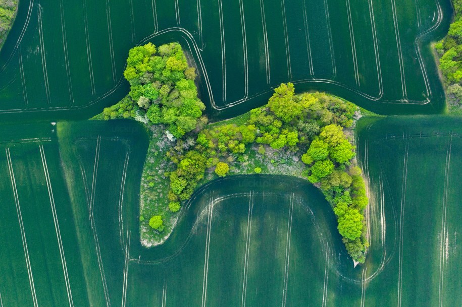 "Pudelkowy Lasek" wiosną 2022 r. /Jan Ulicki /