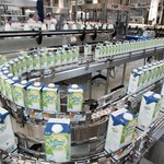 "Puls Biznesu": To będzie chudy rok dla mlecznej branży