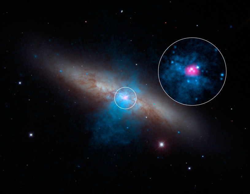 Pulsar M82 X-2 to pozostałość po wybuchu supernowej /NASA