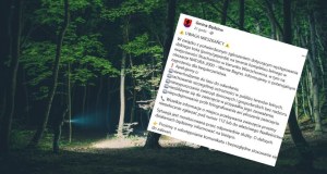 Puma lub gepard w lesie na Pomorzu Zachodnim. Pilny apel do mieszkańców