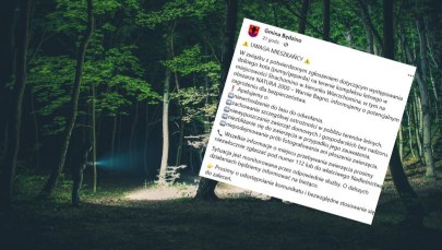 Puma lub gepard w lesie na Pomorzu Zachodnim. Pilny apel do mieszkańców