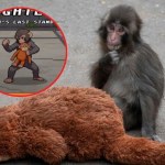 Punch walczy w wirtualnym świecie. Powstała gra o najsłynniejszej małpce świata