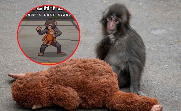 Punch walczy w wirtualnym świecie. Powstała gra o najsłynniejszej małpce świata