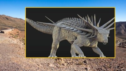 "Punk rockowy" dinozaur. Kolczasty fenomen sprzed 165 milionów lat