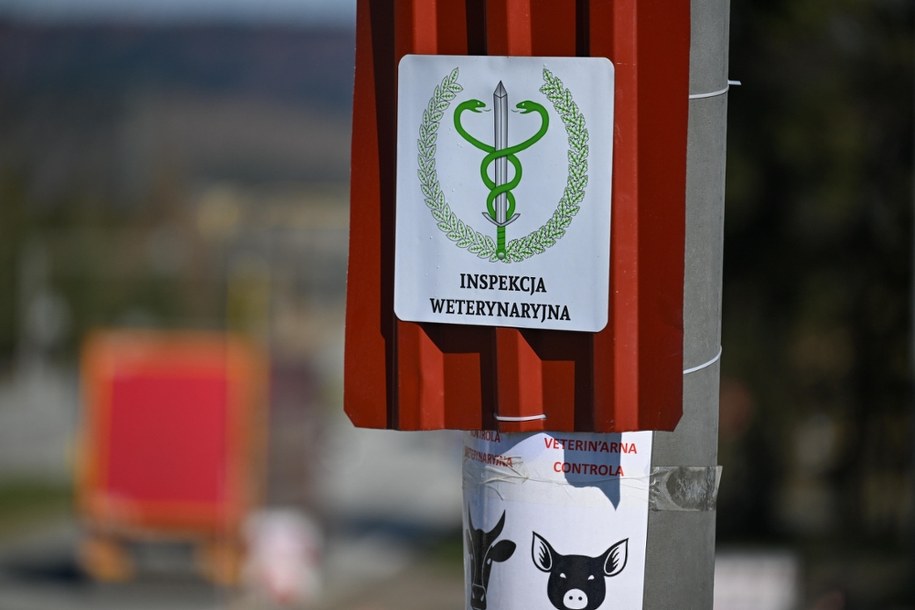 Punkt kontroli weterynaryjnej /Darek Delmanowicz /PAP