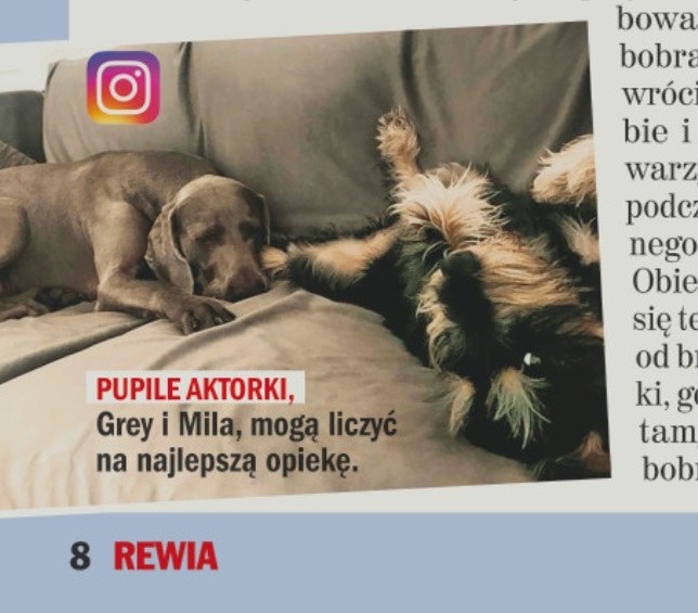 Pupile Kożuchowskiej /Rewia
