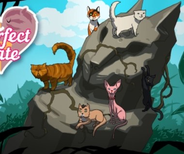 Purrfect Date - recenzja