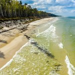 Pusta i szeroka plaża, do której dotrzesz przez las. Prawie nie ma na niej ludzi