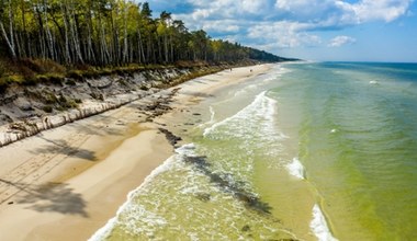 Pusta i szeroka plaża, do której dotrzesz przez las. Prawie nie ma na niej ludzi