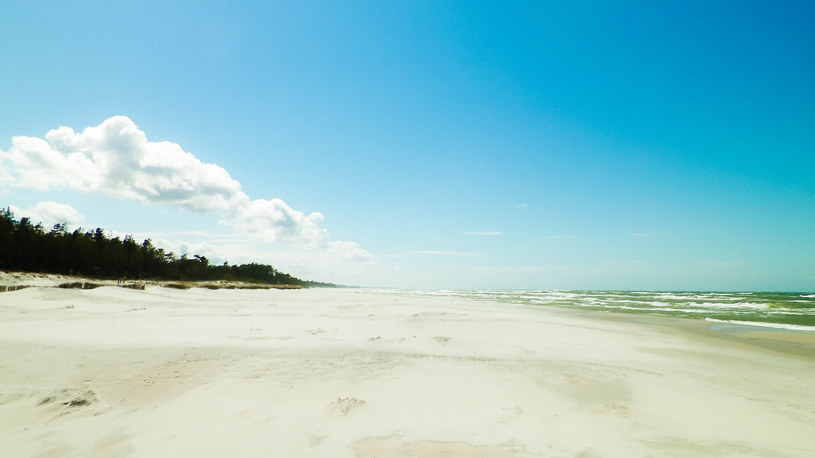 Pusta plaża Stilo z pięknym piaskiem, zwana również "ostatnią dziką plażą Bałtyku" /123RF/PICSEL /Pixel