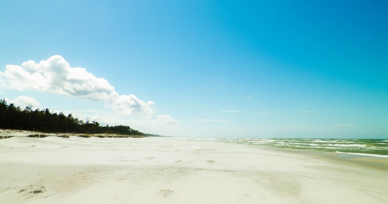 Pusta plaża Stilo z pięknym piaskiem, zwana również "ostatnią dziką plażą Bałtyku" /123RF/PICSEL /Pixel