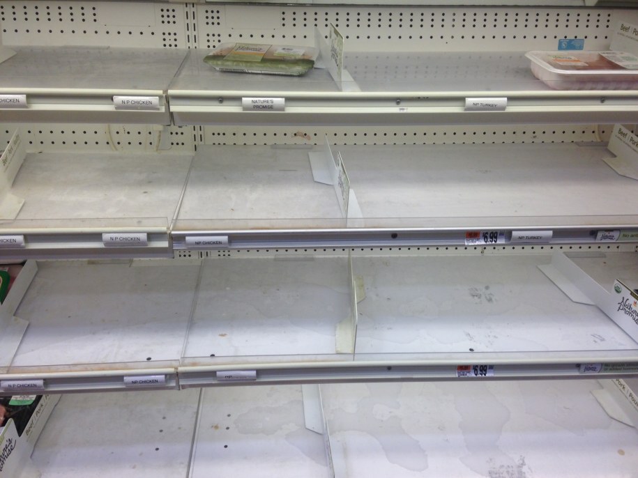 Puste półki w sklepie w Waszyngtonie /Paweł Żuchowski /RMF FM