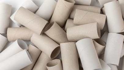 Puste rolki po papierze toaletowym - skarb dla ogrodników. Jak je wykorzystać?