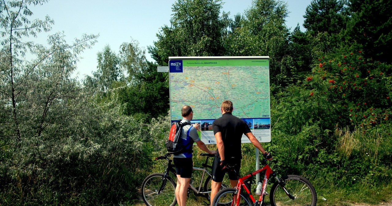 Pustynia Błędowska oferuje jedną z ciekawszych tras rowerowych w Polsce /Marek Lasyk  /East News